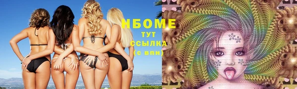 шишки Богородицк